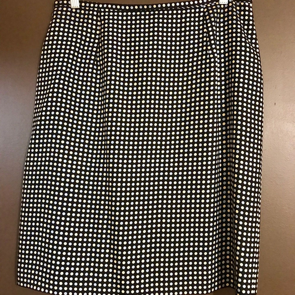 Ann Taylor silk skirt